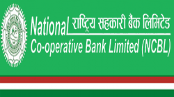 National Cooperative Bank Limited